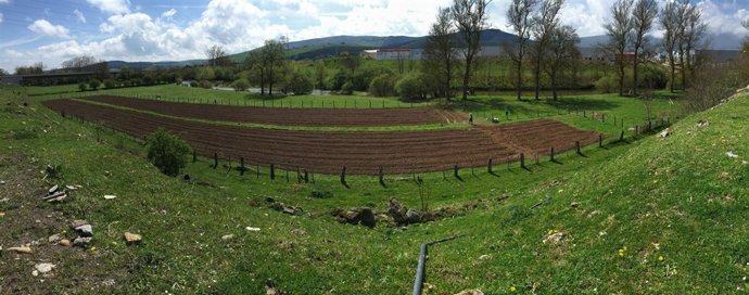 Huertos urbanos ecológicos