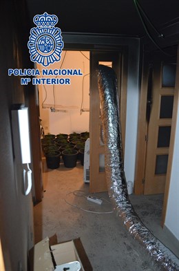 Nota De Prensa Policial: "La Policía Nacional Descubre Una Plantación De Marihua