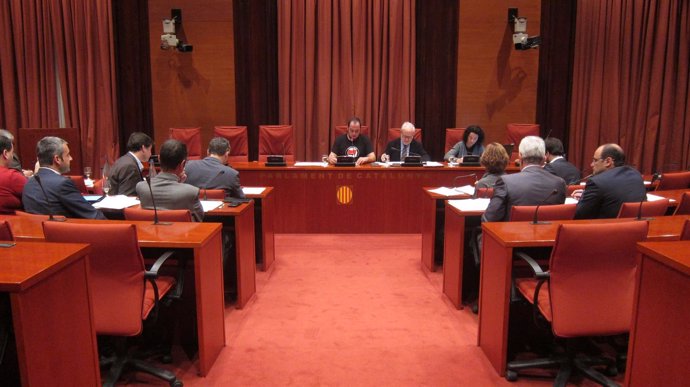 Comisión del Parlament sobre fraude, presidida por David Fernández 