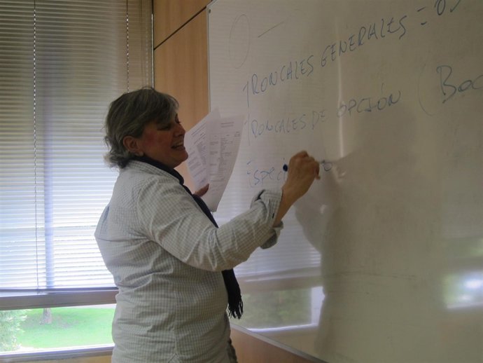 La consejera de Educación, Ana González, explicando la Lomce a los medios.