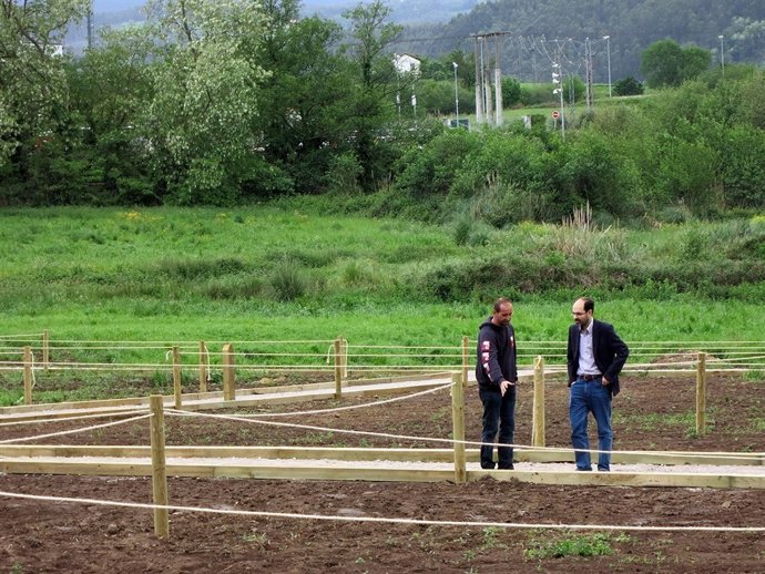 Huertos sostenibles Torrelavega