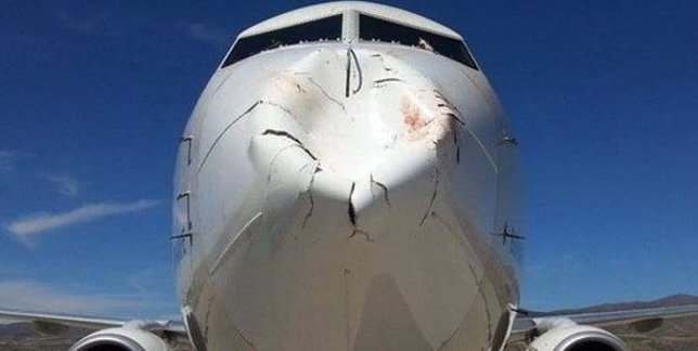 Morro de avión destrozado tras impacto con pájaro