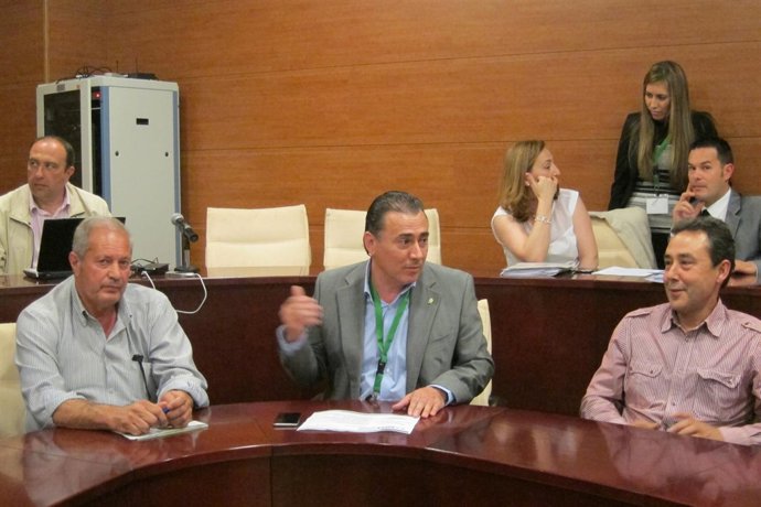 Agustín Rodríguez , en la sectorial de UPA del aceite de oliva