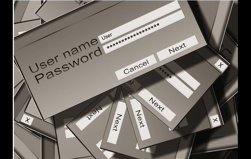 Foto: CREATIVE COMMONS/PIXABAY