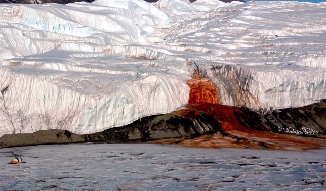 The Blood Falls seeps from the end of the Taylor Glacier into Lake Bonney. The t