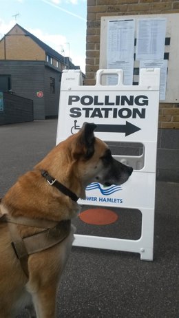 Perros en los centros electorales de las elecciones británicas