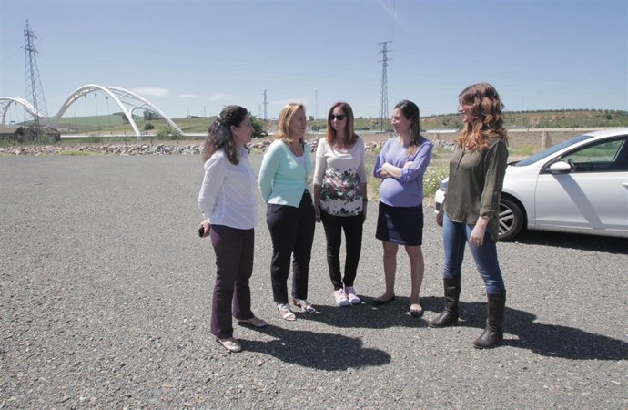 Visita a los terrenos para el Arca de Noé