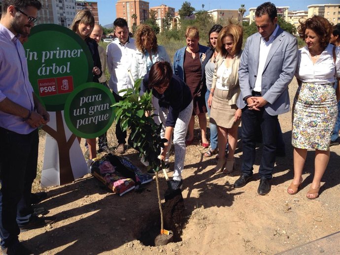 Gámez planta un árbol en los terrenos de repsol 24M