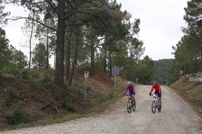 Alquiler de bicicletas en Pinares de Rodeno y Laguna de Gallocanta.