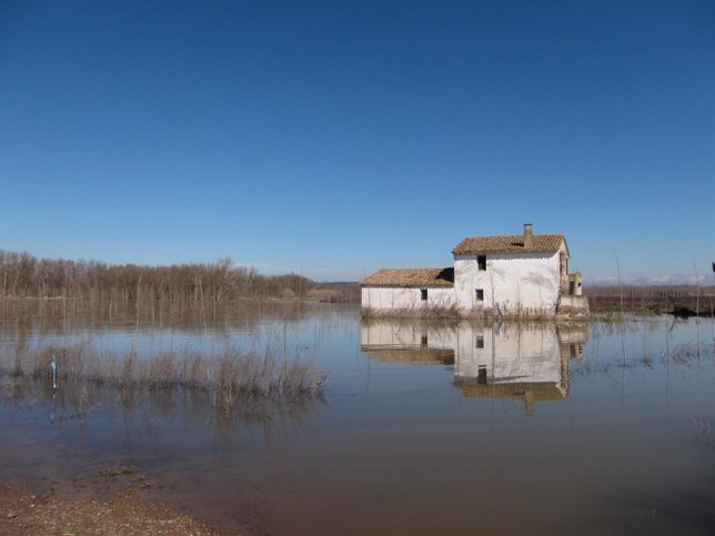 Zona de Alfaro afectada por crecidas del Ebro