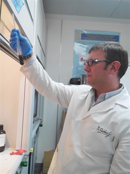 Investigador de la UHU que desarrolla un plástico con un componente de la madera