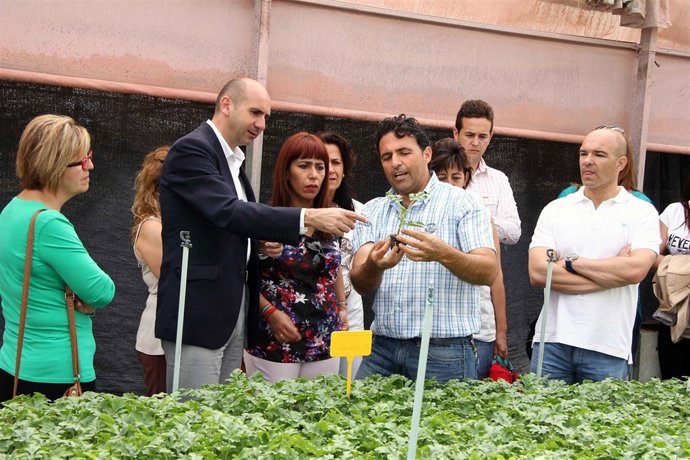 Conejo PSOE durante su visita a una empresa de semillas en coín