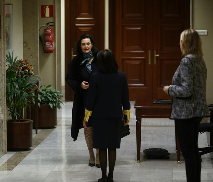 Nuria Abad, jurista del CGPJ, en el Congreso
