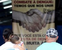 Brote de dengue en Brasil, duro reto para Rousseff
