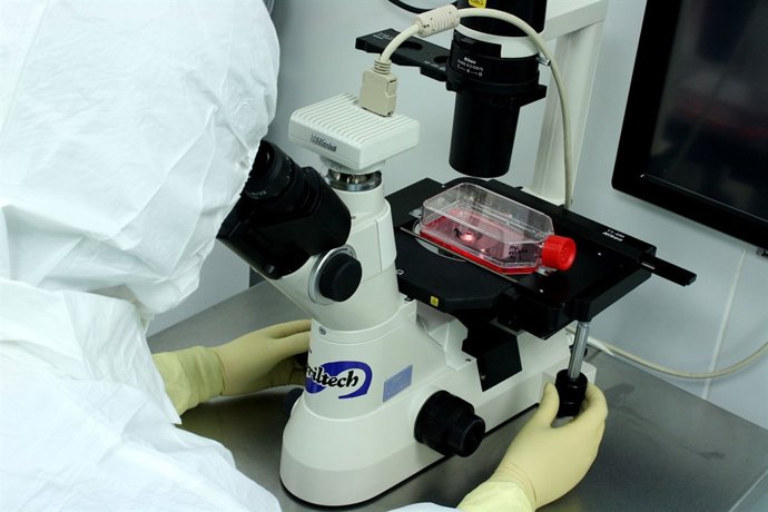 El proyecto de telemedicina 'Palante' culmina en Andalucía