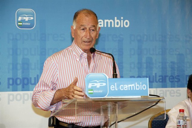 El presidente del PP de Almería, Gabriel Amat