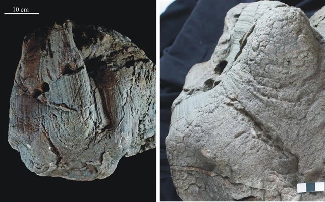 Huella 4D de un dinosaurio ornitópodo del yacimiento Río Alcalá (Teruel)