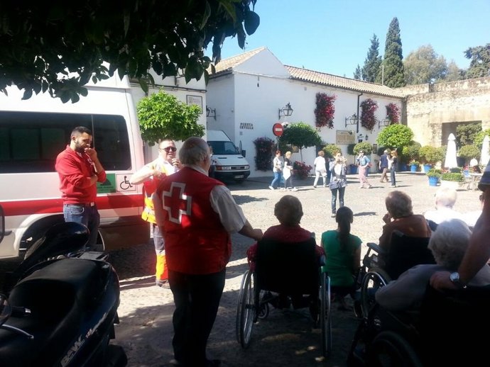 Visita de los mayores a los Patios