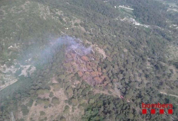 Incendio forestal en Molins de Rei