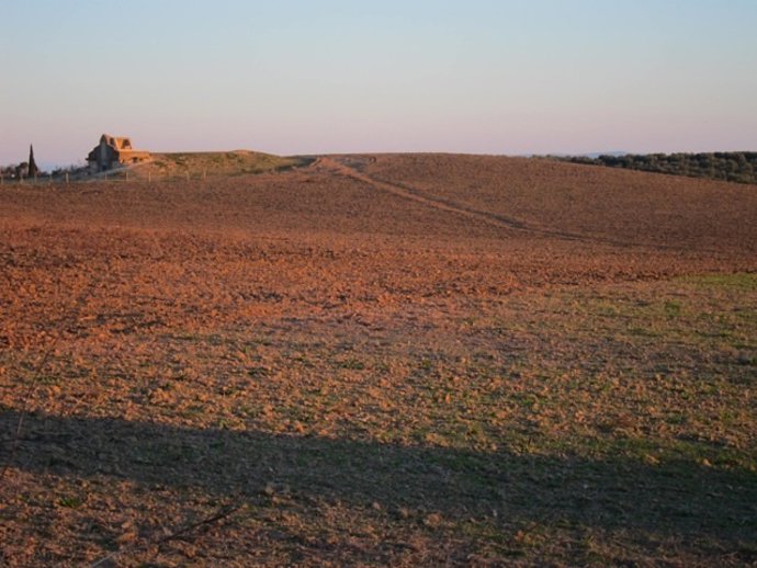 Finca del dolmen de La Pastora, en Valencina.