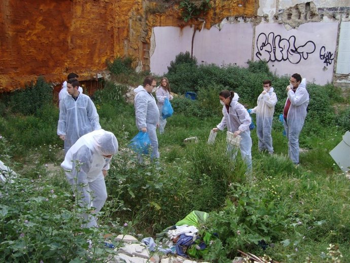 Limpieza de solares en Jaén por parte del PSOE