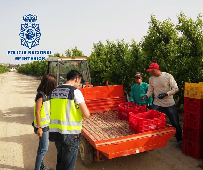 Detenidos por suplantar la identidad y ejercer la actividad de trabajadores 