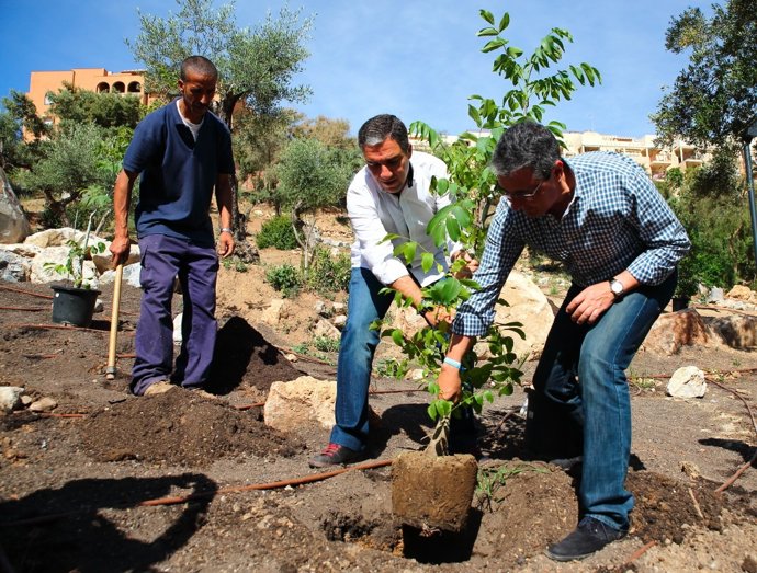 Bendodo y Salado plantan un árbol propone más para compensar emisiones co2