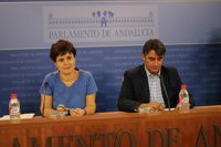 Podemos sobre las comisiones del Parlamento: "Si hay un gasto sin acción política, se pueden pedir comparecencias"