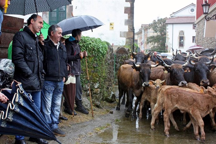 Diego en la feria de San Isidro de Guriezo