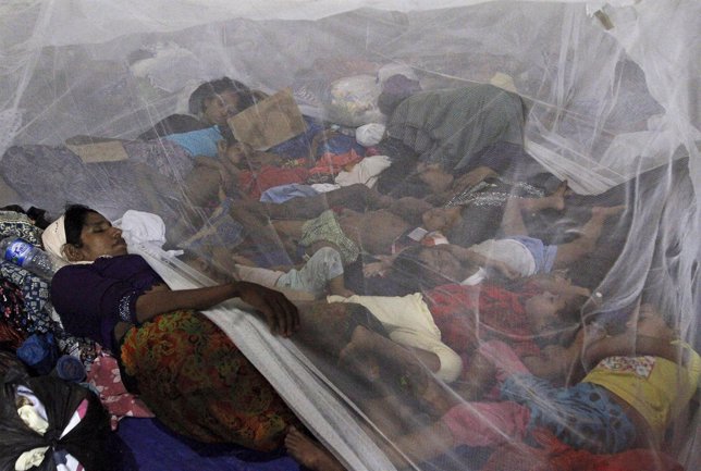 Musulmanes rohingya huyen de Myanmar y Bangladesh