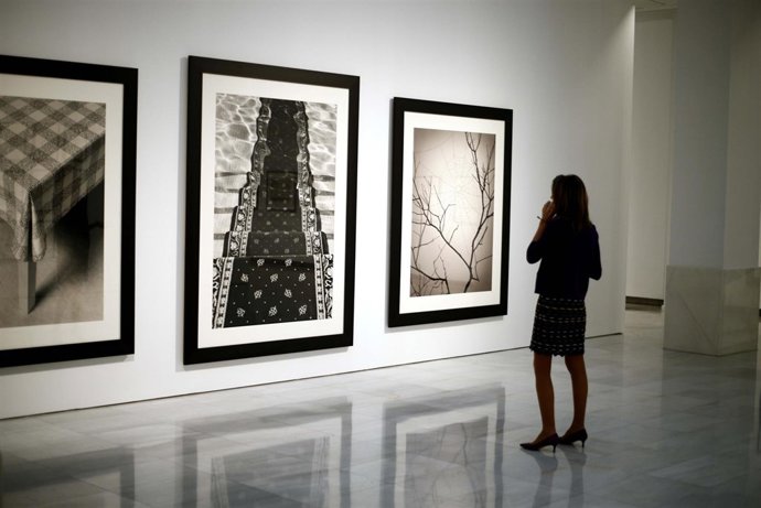 El fotógrafo Chema Madoz mira a la naturaleza en 'Las reglas del juego'