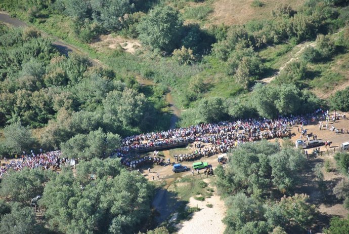 Romería De El Rocío