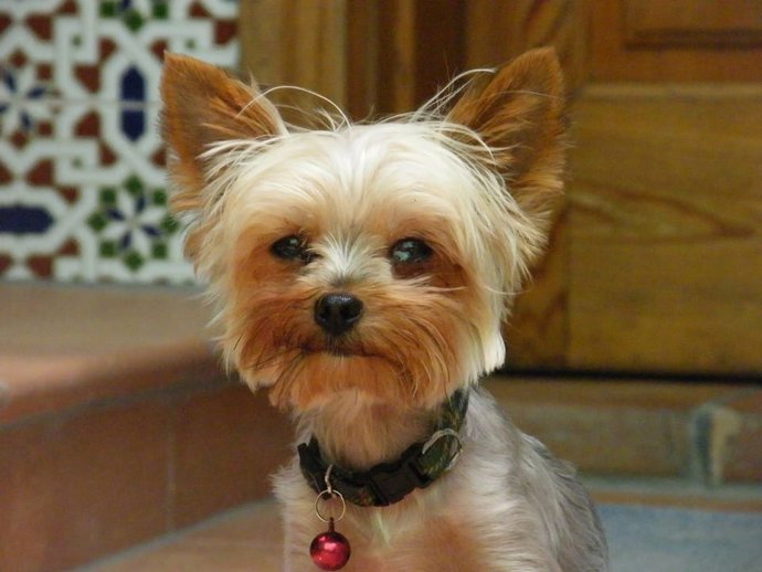  'Historia De Mafalda'