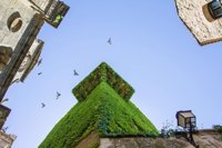 "Gran éxito de participación" en el VII Festival de las Aves de Cáceres