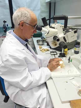 El investigador principal del proyecto que desarrolla un oído medio electrónico