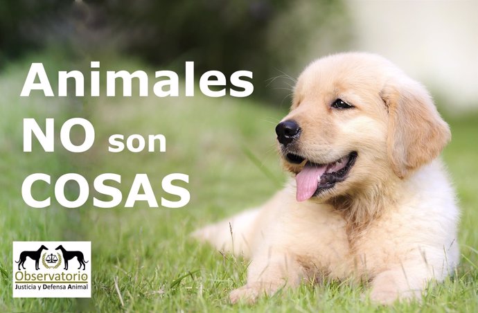 Campaña del Observatorio de Justicia Animal