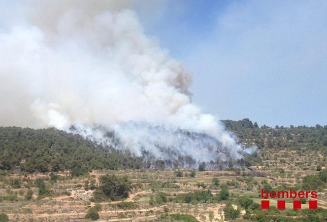 Incendio vegetal en Vallbona de les Monges