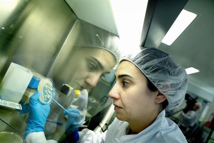 Investigación industria coméstica 