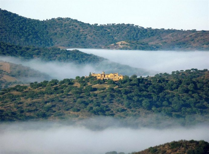 Una vista general de una parte de la finca