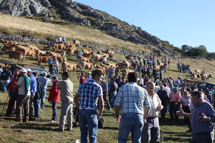 Pasada edición de la Fería del Puerto de Somiedo.