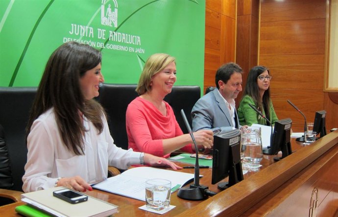 Caballero, Alfaro, Rueda y Llamas abordan la situación del Museo Ibero.