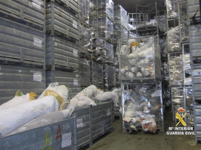 Pescado intervenido en Vigo.