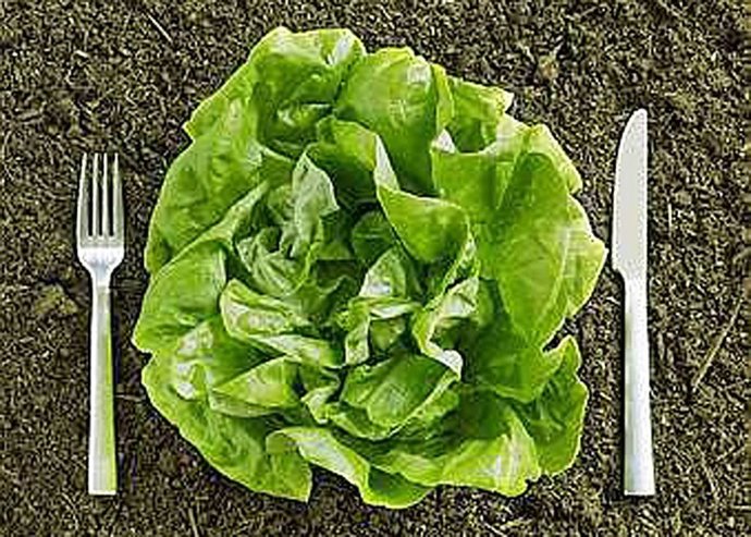 La nutrigenética, el futuro de las dietas personalizadas