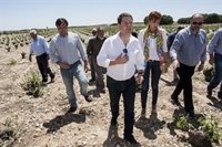 El PSOE presentará en el Congreso una iniciativa para que el Gobierno resarza los daños por el granizo en C-LM
