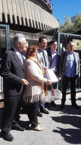Representantes de PSOE, IU, UPyD y Compromís ante el Tribunal Constitucional