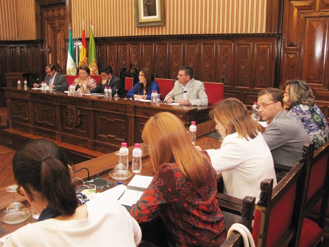Celebración de pleno extraordionario de la Diputación de Jaén.