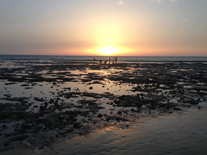 Corrales de pesca de la playa de Camarón/La Laguna, en Chipiona