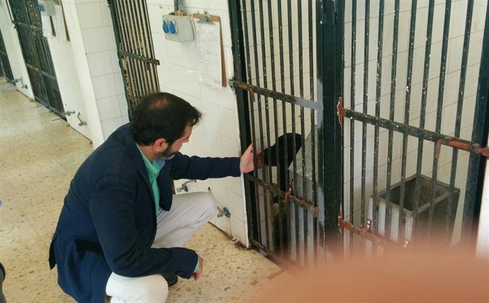 El candidato con un perro.