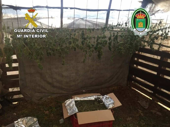 Secadero de la plantación desmantelada en El Ejido