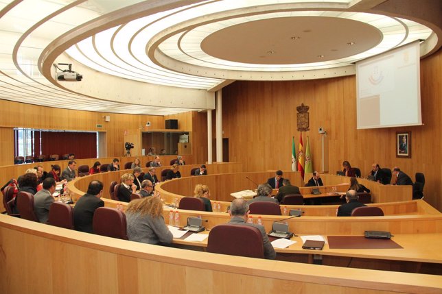 Pleno en Diputación